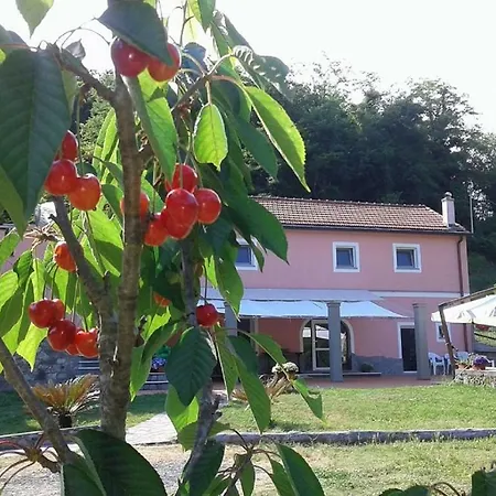 Agriturismo La Casina Rosa *