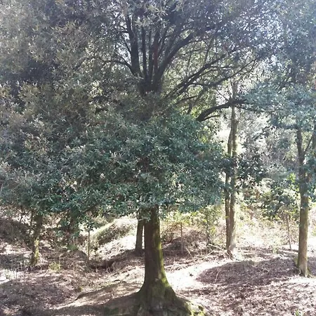 Agriturismo La Casina Rosa * Piano di Follo