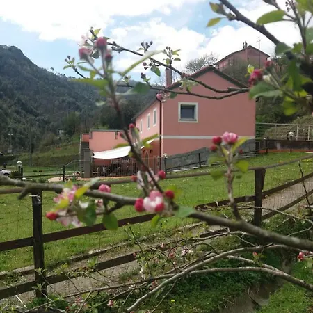 Agriturismo La Casina Rosa Фермерский дом Piano di Follo