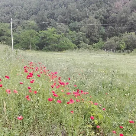 Agriturismo La Casina Rosa Фермерский дом *