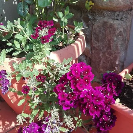 Agriturismo La Casina Rosa * Piano di Follo