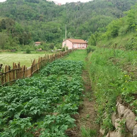 Agriturismo La Casina Rosa